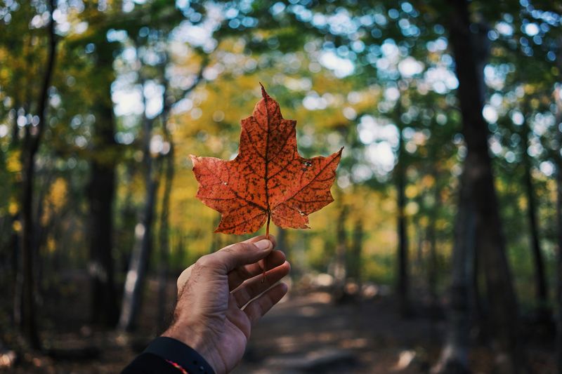 Toronto, Canadá